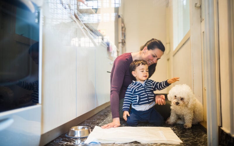 Mother and her baby boy introducing new home and house rules to their newly adopted dog. Belgrade, Serbia